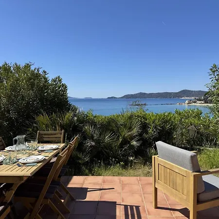 Les Floralies A Saint-clair * Le Lavandou